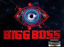 Top 5 Contestants of Big Boss 16